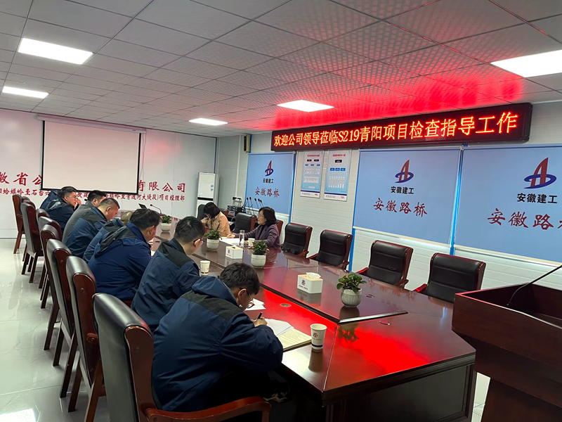 公司黨委委員、紀委書記王鵬到S219青陽改建項目調(diào)研指導工作